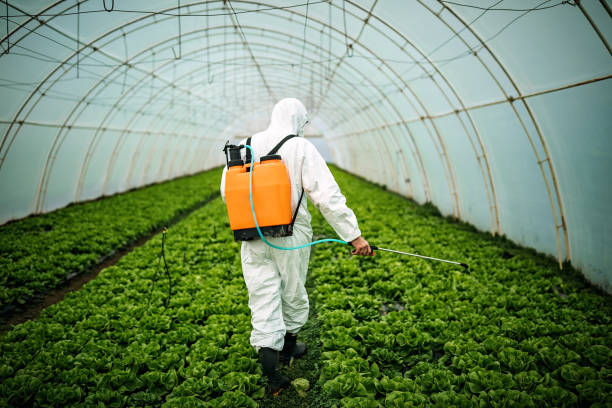 Best Pest Control for Homes  in Tecumseh, NE