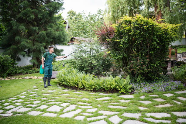 Professional Pest Control in Tecumseh, NE
