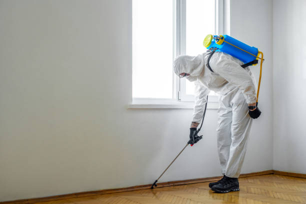 Best Termite Control Services  in Tecumseh, NE