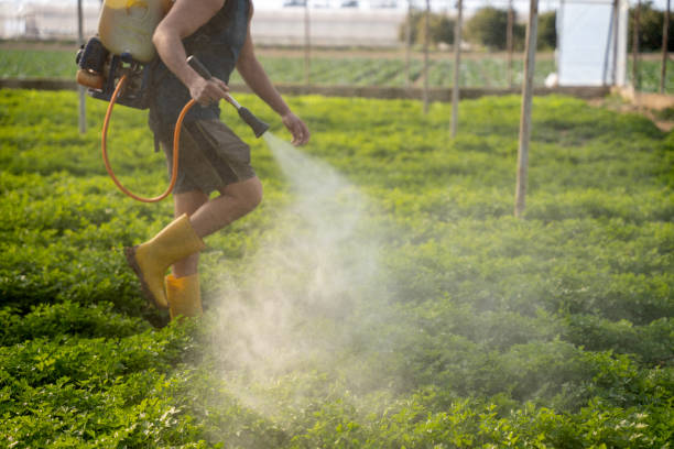 Best Pest Inspection Near Me  in Tecumseh, NE