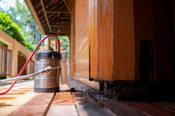 Best Best Pest Control Companies  in Tecumseh, NE
